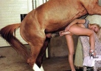 Image of horse fuck girl-142189